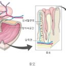 유미관