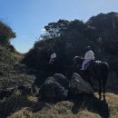 쑝쑝돈까스하나로마트성산일출봉점