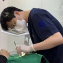 뿌리치과기공소 이미지