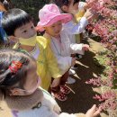 🌳소풍 - 고령 대가야 수목원❤️🌳 이미지