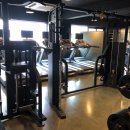 테라피트 이미지