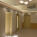 수지애견 이미지