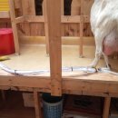 대굴령마을 이미지