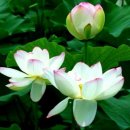 바람과구름