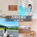스테이 오씨오 | 거제도 수영장 펜션 스테이오씨오 감성 독채 풀빌라
