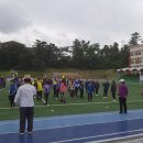 제주대학교교육대학 부설초등학교 이미지