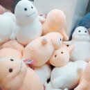 뽑기사랑 네이버블로그