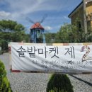 솔밭공원2 이미지