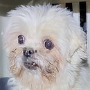 마인계터로 이미지