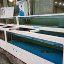 왕대박대게파티 이미지