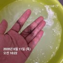 가락홍삼화장품 | 두피쿨링샴푸추천해요. 프라젠트라 안티 헤어로스 트리트먼트 샴푸