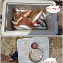신신낚시신항만점
