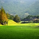 선운골프존 이미지