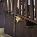 (주)아성다이소부산동아대점 | 철없게 철없게 철없게 철없게 철없게 철없게 살다가 미쳐