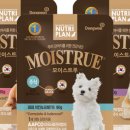 퍼피플랜 이미지