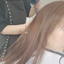 채인디자인 이미지