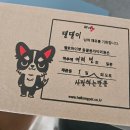 헬로펫 | 다이소제품 강아지 보습제 헬로마이펫 견세린 사용 후기