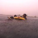 블루스타 이미지