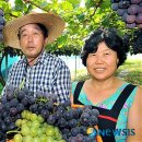 최정용 농장 뉴시스