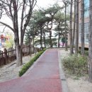 부동산114공인중개사사무소 이미지