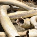 상아무역 이미지