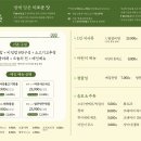 서울랜드캘리포니아피자키친