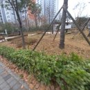 이수어린이공원 이미지