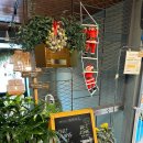 갸또마루 이미지