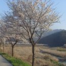 차리인동네 이미지