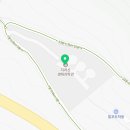 지리산 보더콜리 이미지