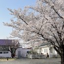 평천주유소 네이버블로그