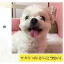 유동커피부산 이미지