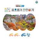 장모님순대국밥 이미지