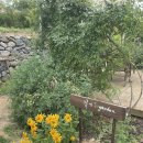 정원카페 이미지