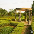 팜카밀레 Daum카페