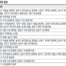 라빈드라나드 타고르: 범세계주의자의 예술과 사상 이미지