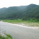 물뫼뜰펜션 이미지