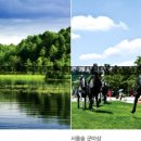 자양화원 이미지
