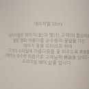 데이지엘헤어 과천점 이미지
