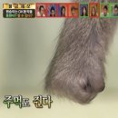 더원악기 이미지