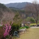 덕천마루 이미지