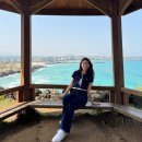 유채꽃직구