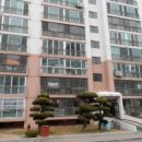 대암로-2 이미지