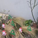 웅담2농장 이미지