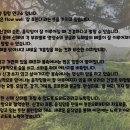 플로웰 네이버블로그