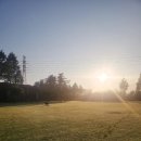 랩도그빌 이미지