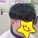 엘렌헤어 이미지