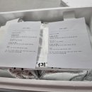 연두네수제만두