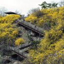 개화산역 2번출구 부근 이미지