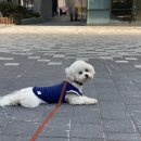 페이보릿카롱 이미지